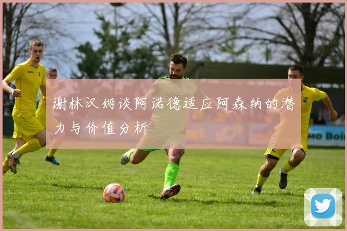 谢林汉姆谈阿诺德适应阿森纳的潜力与价值分析