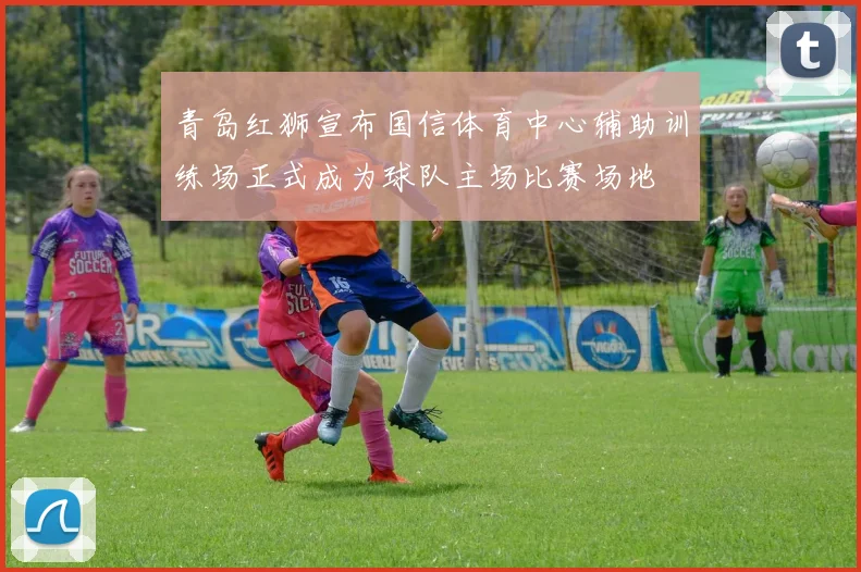 青岛红狮宣布国信体育中心辅助训练场正式成为球队主场比赛场地