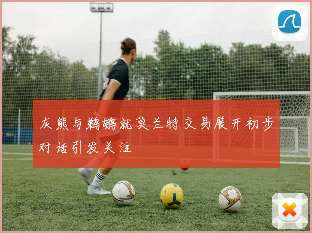 灰熊与鹈鹕就莫兰特交易展开初步对话引发关注