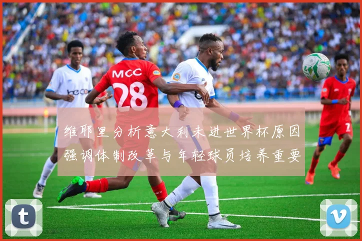 维耶里分析意大利未进世界杯原因强调体制改革与年轻球员培养重要性