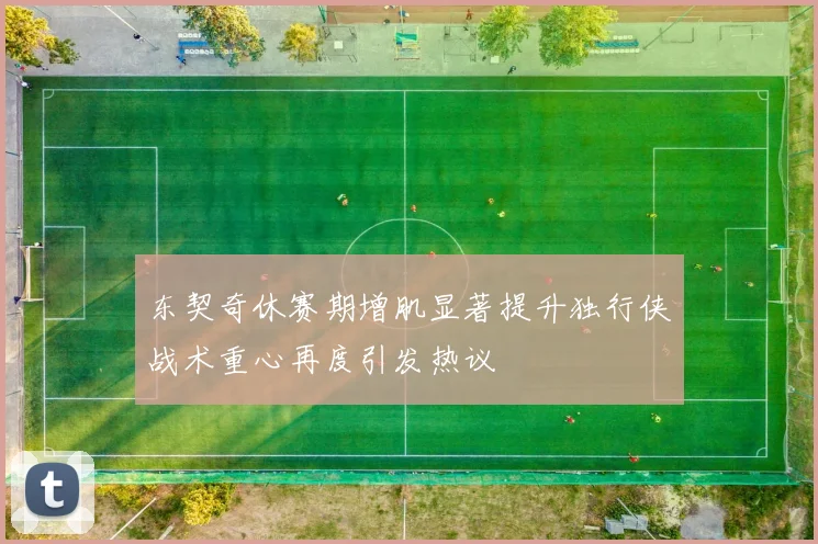 东契奇休赛期增肌显著提升独行侠战术重心再度引发热议