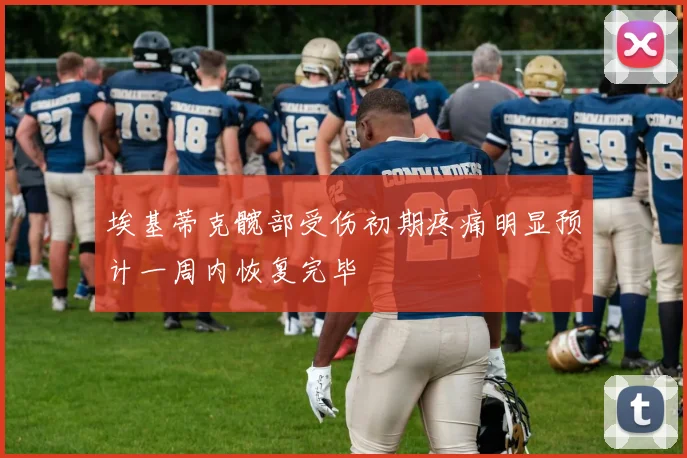 埃基蒂克髋部受伤初期疼痛明显预计一周内恢复完毕